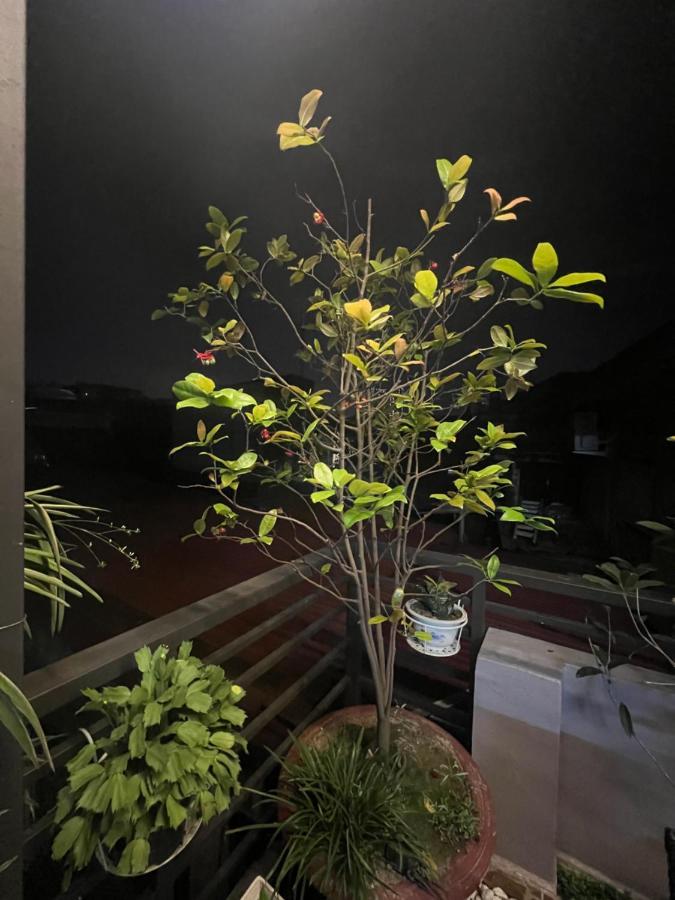 Sunflower Homestay Hai Phong Exterior photo